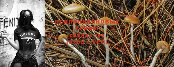 кокс Балашиха